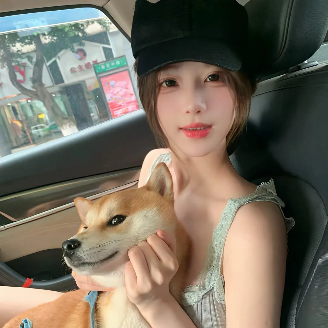 猪太狼的夏天